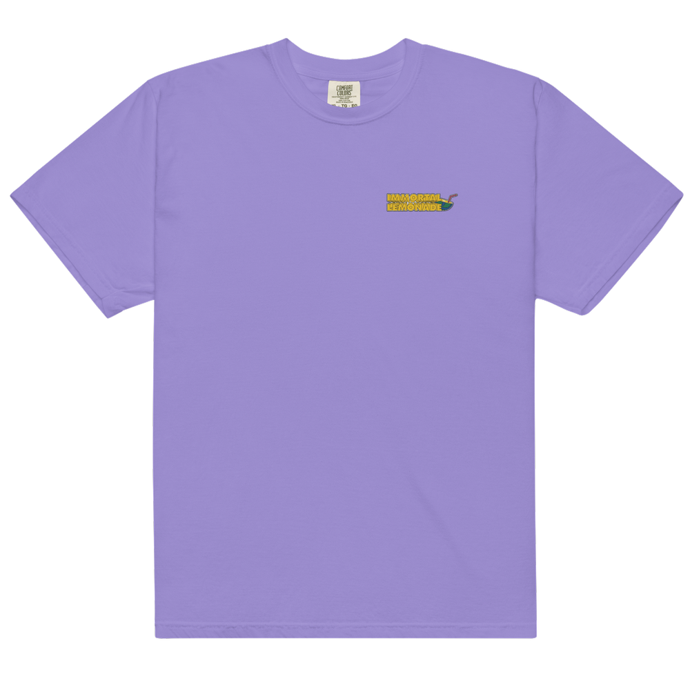 https://images.squarespace-cdn.com/content/v1/6025f154e66c8771938279df/1684532675115-VVGNWFPQT160358TGHOO/mens-garment-dyed-heavyweight-t-shirt-violet-front-6467edb627d54.png?format=1000w
