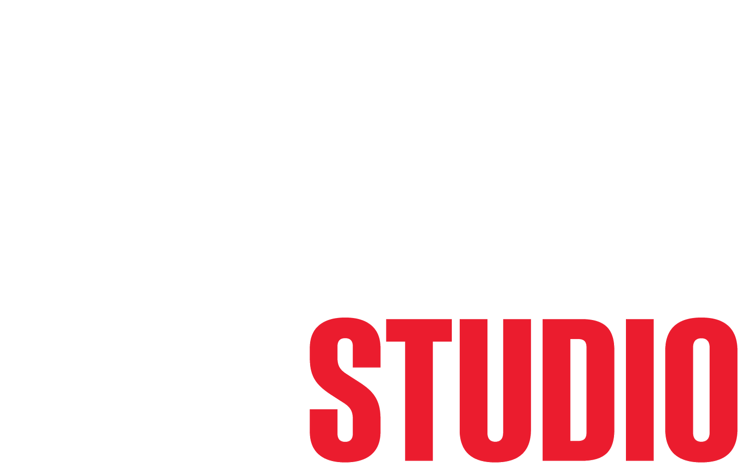 IMMORTAL VISION STUDIO