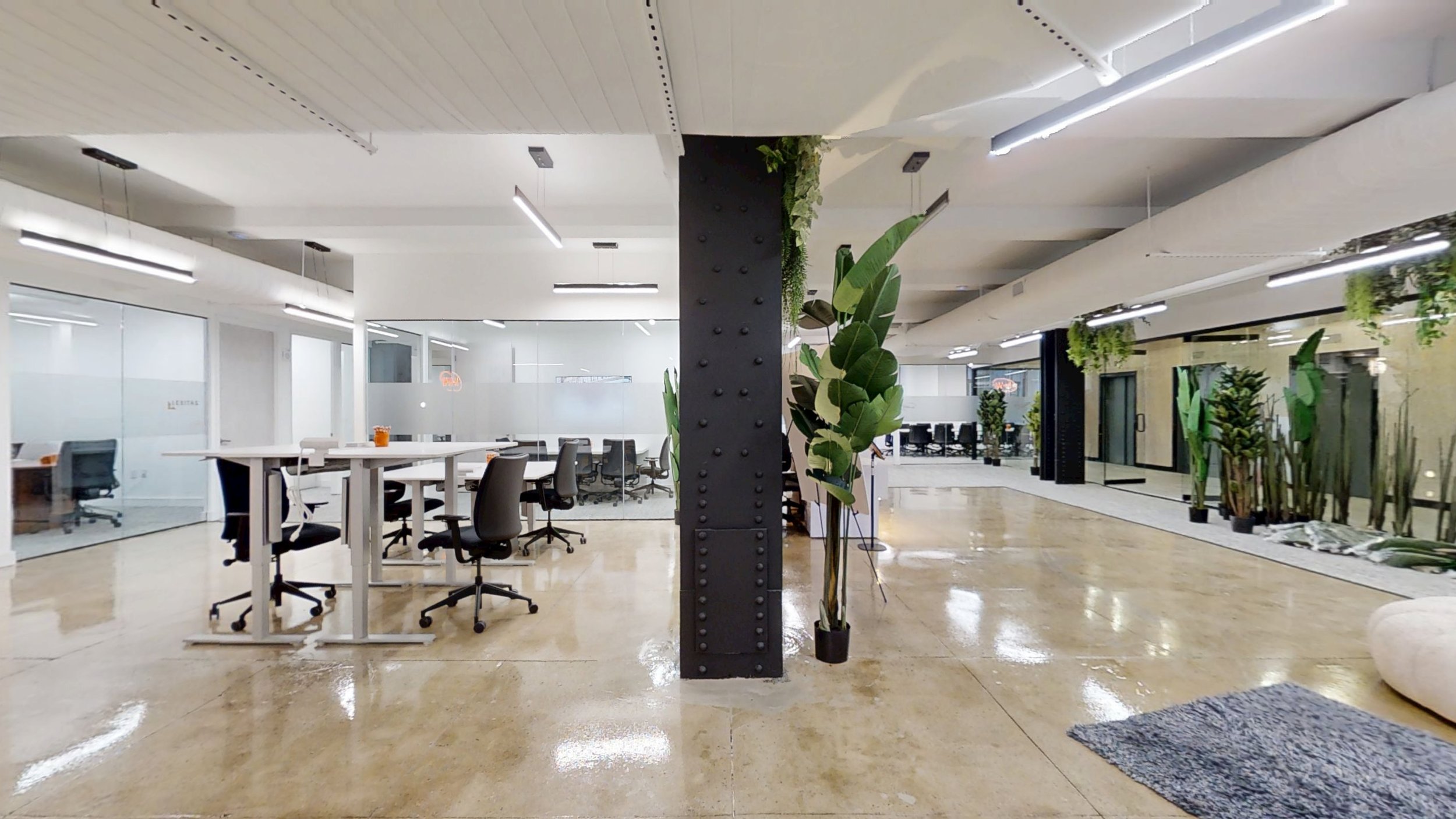 Copy of 11242025_132047 - Zackary Fogel.jpg