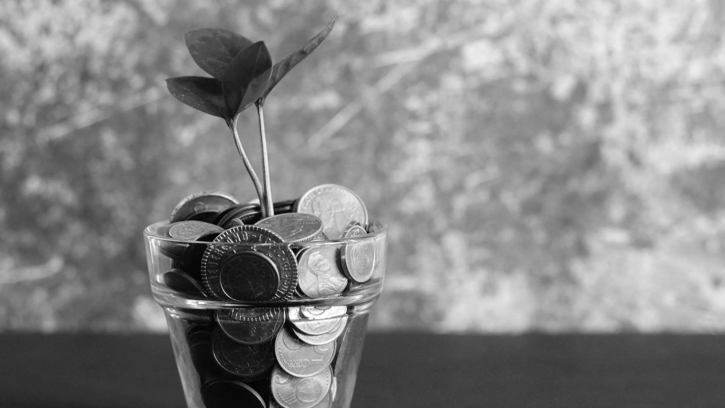 Svartvit bild på en krukväxt fylld med pengar som symboliserar jord.