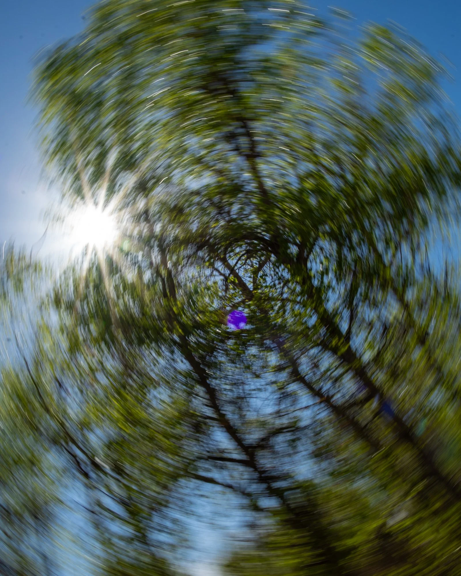 You Spin Me Right Round