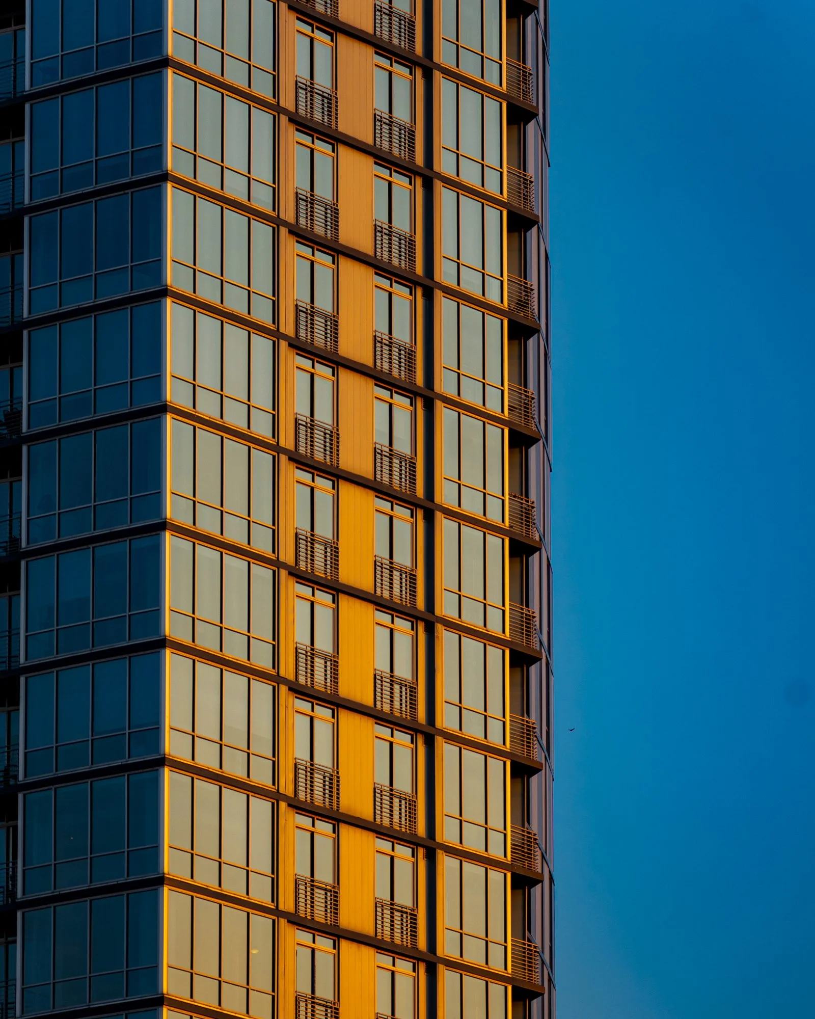 Reflecting Sunset