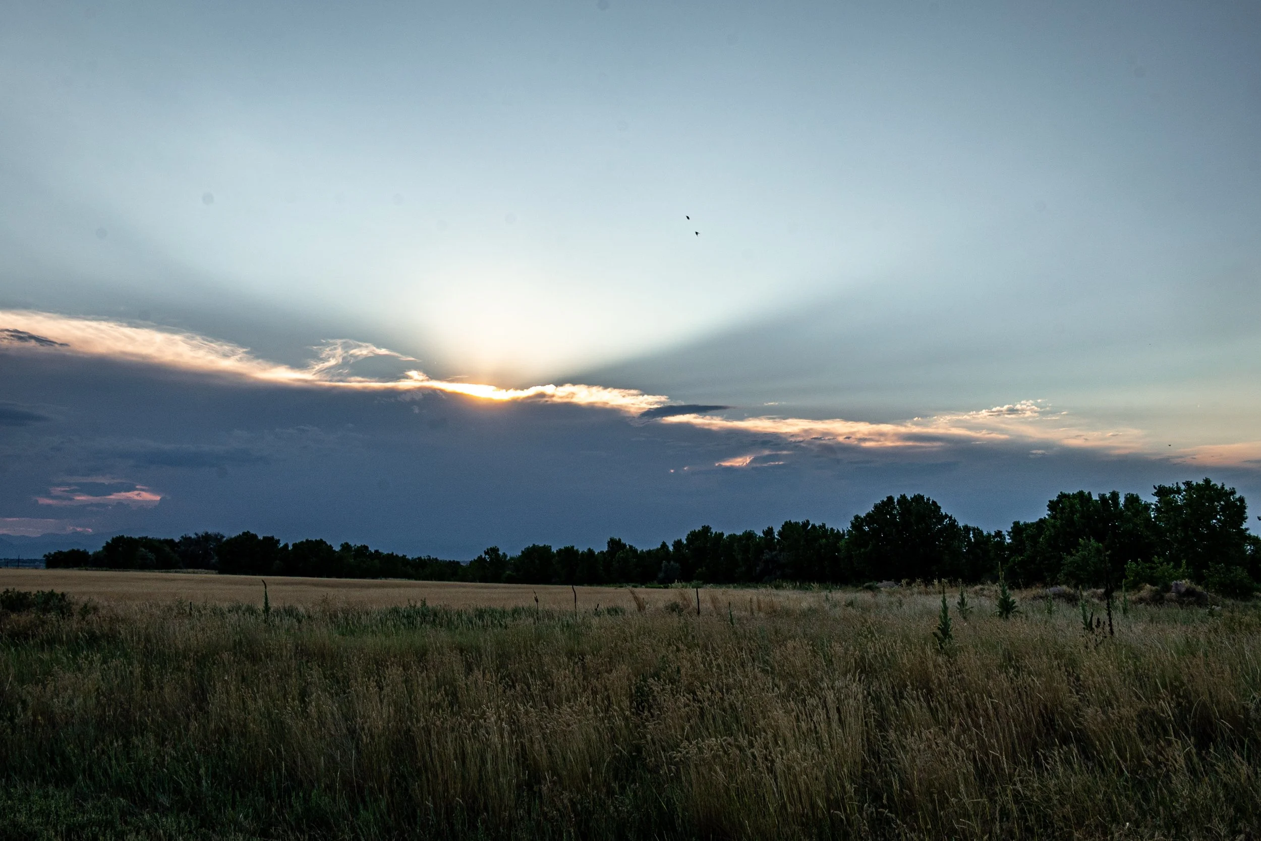 Last Light on a Sunday Evening