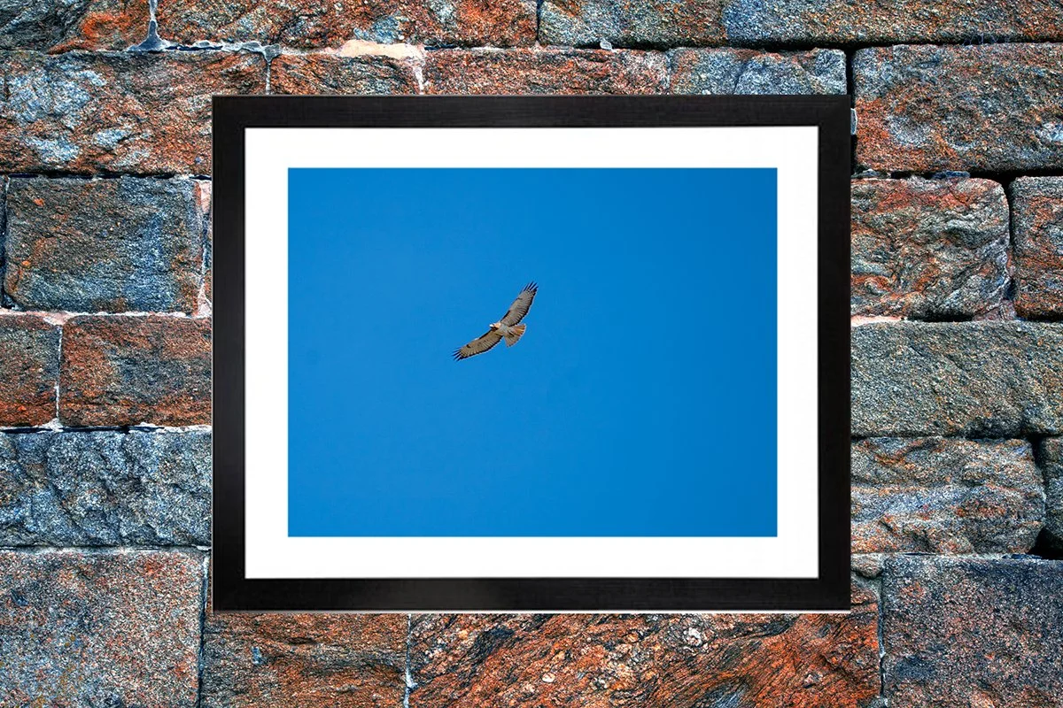 Soaring