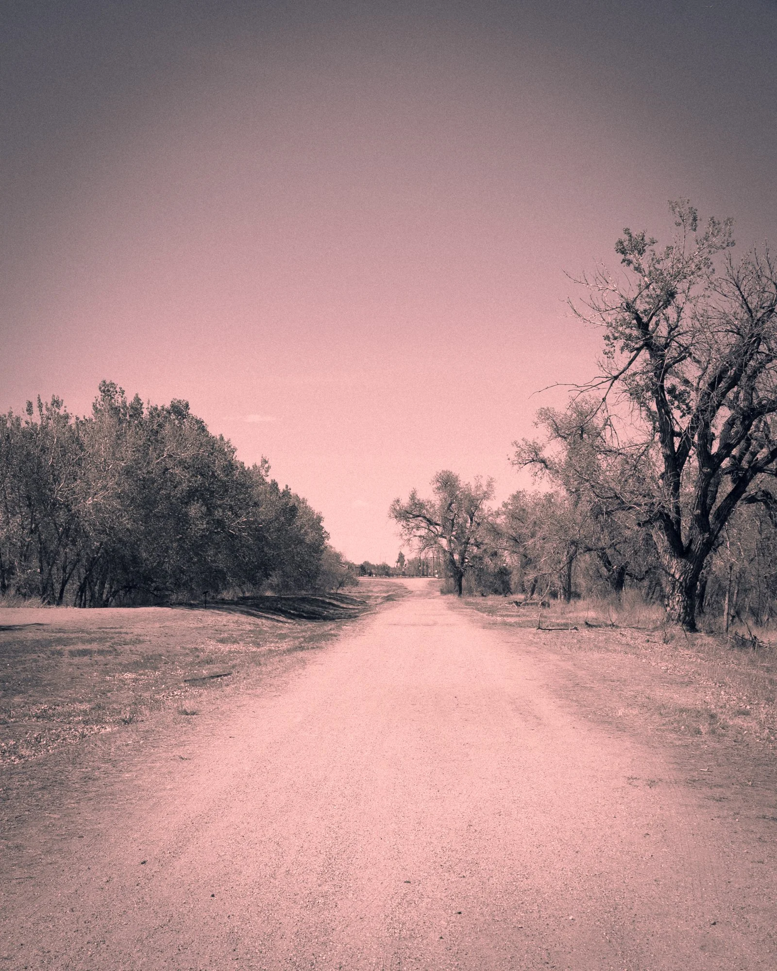 Cormac McCarthy
