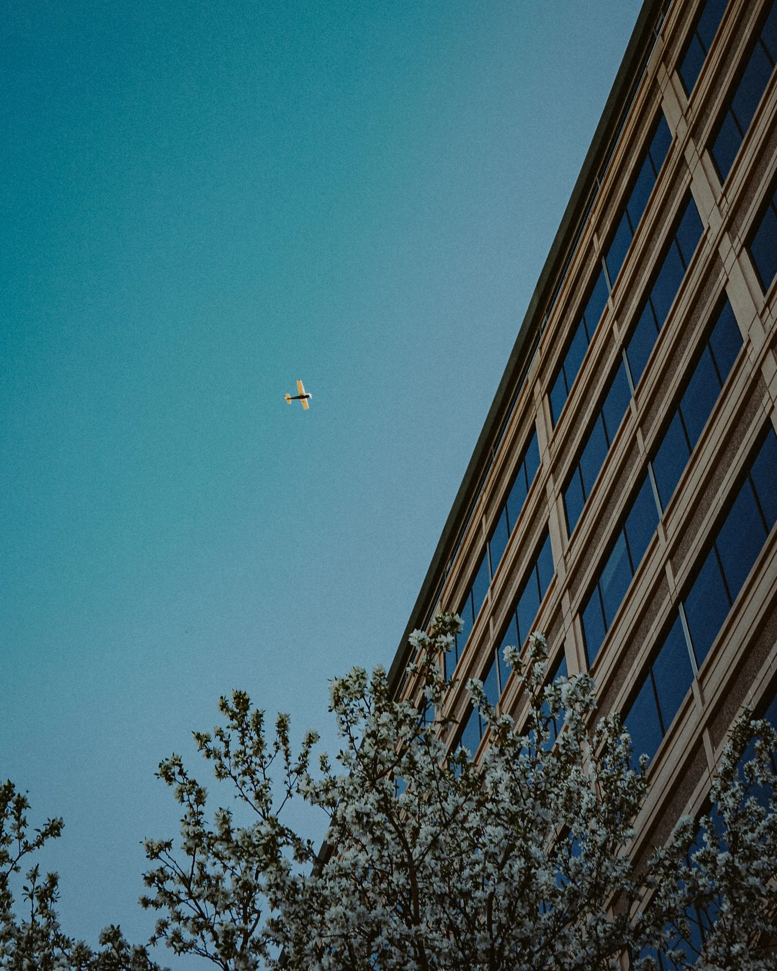 Tiny Fly By