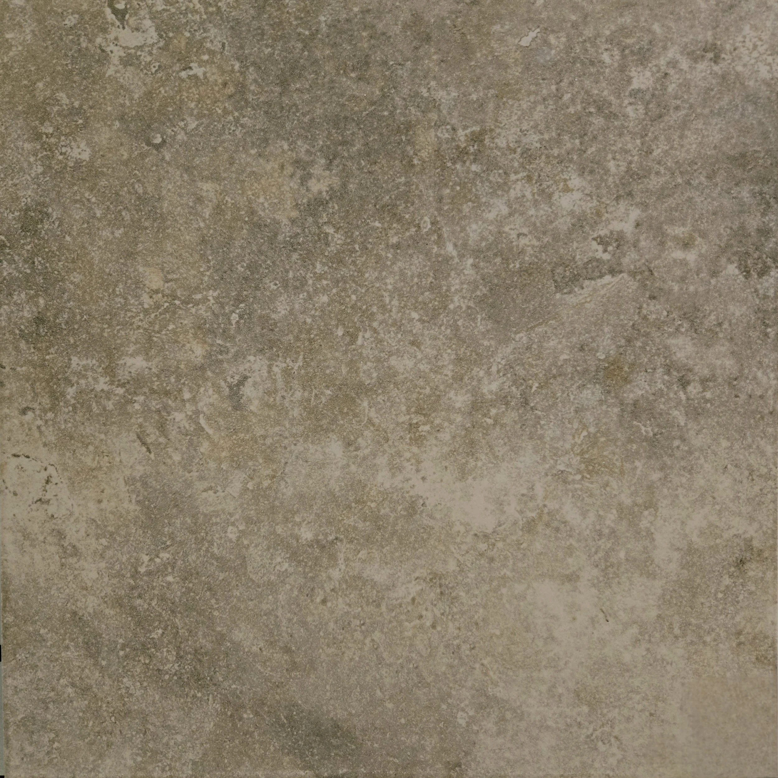 FLO Pheonix 24224 Noce 18x18.jpg