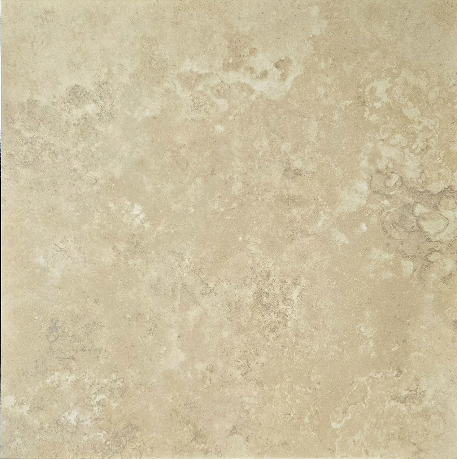 MAR Eclipse Forest Light Noce 19.7 x 19.7 Matte.jpg
