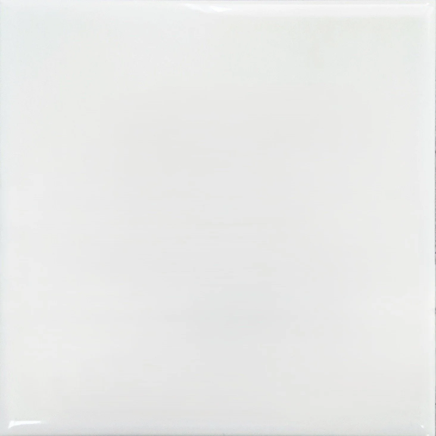 Eli Maxi Bone White 6x6 Glossy.jpg