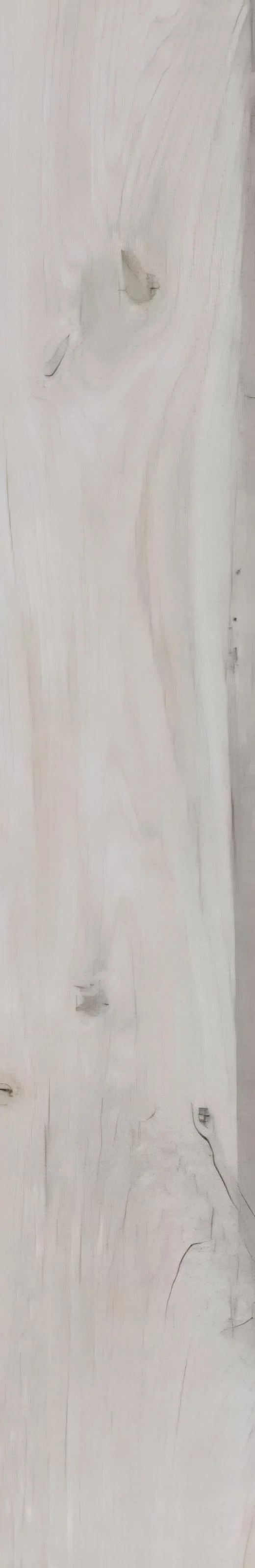 ABK Soleras Bianco 8 x 31.5 Matte.jpg