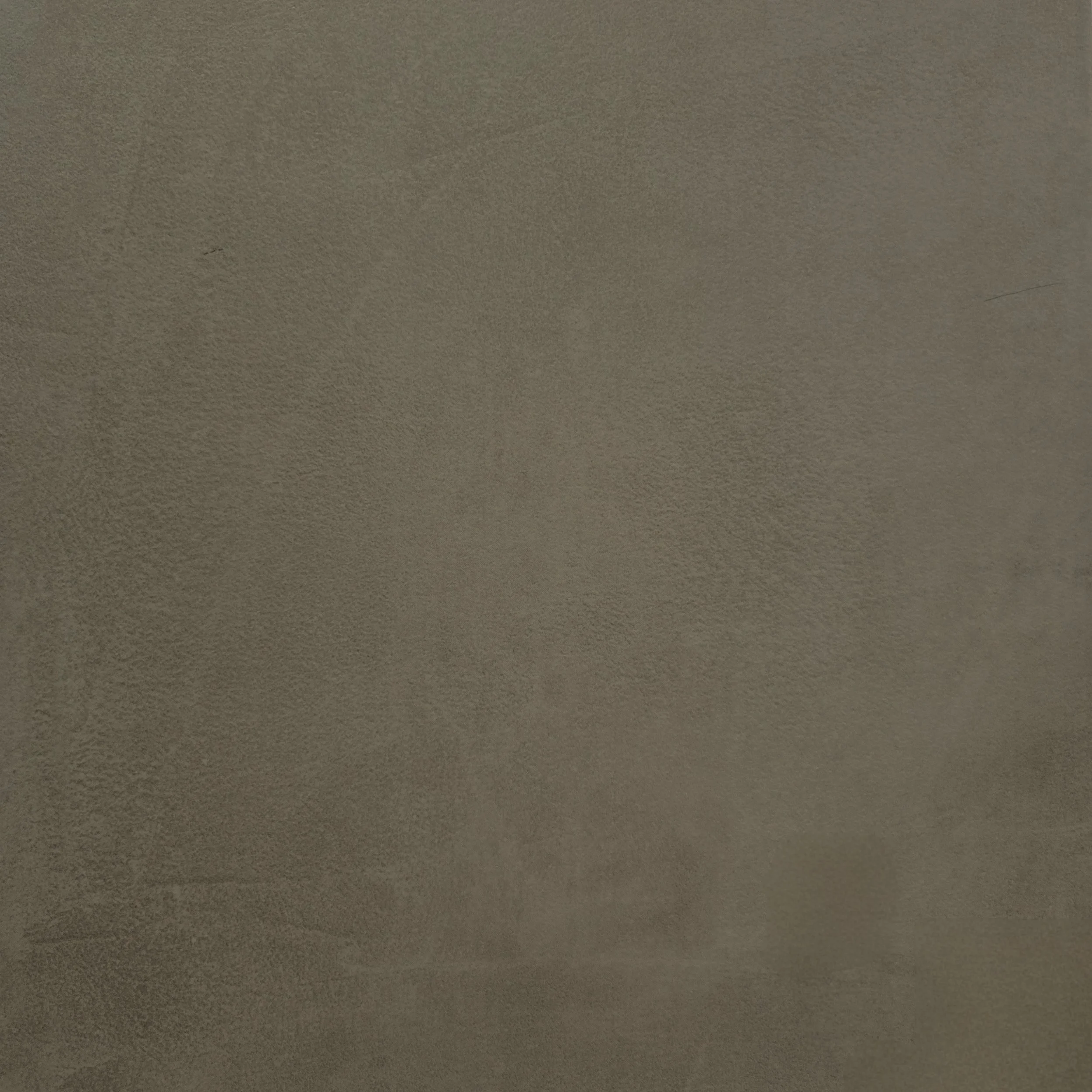 ELI Time Tortora 13.39x13.39.jpg