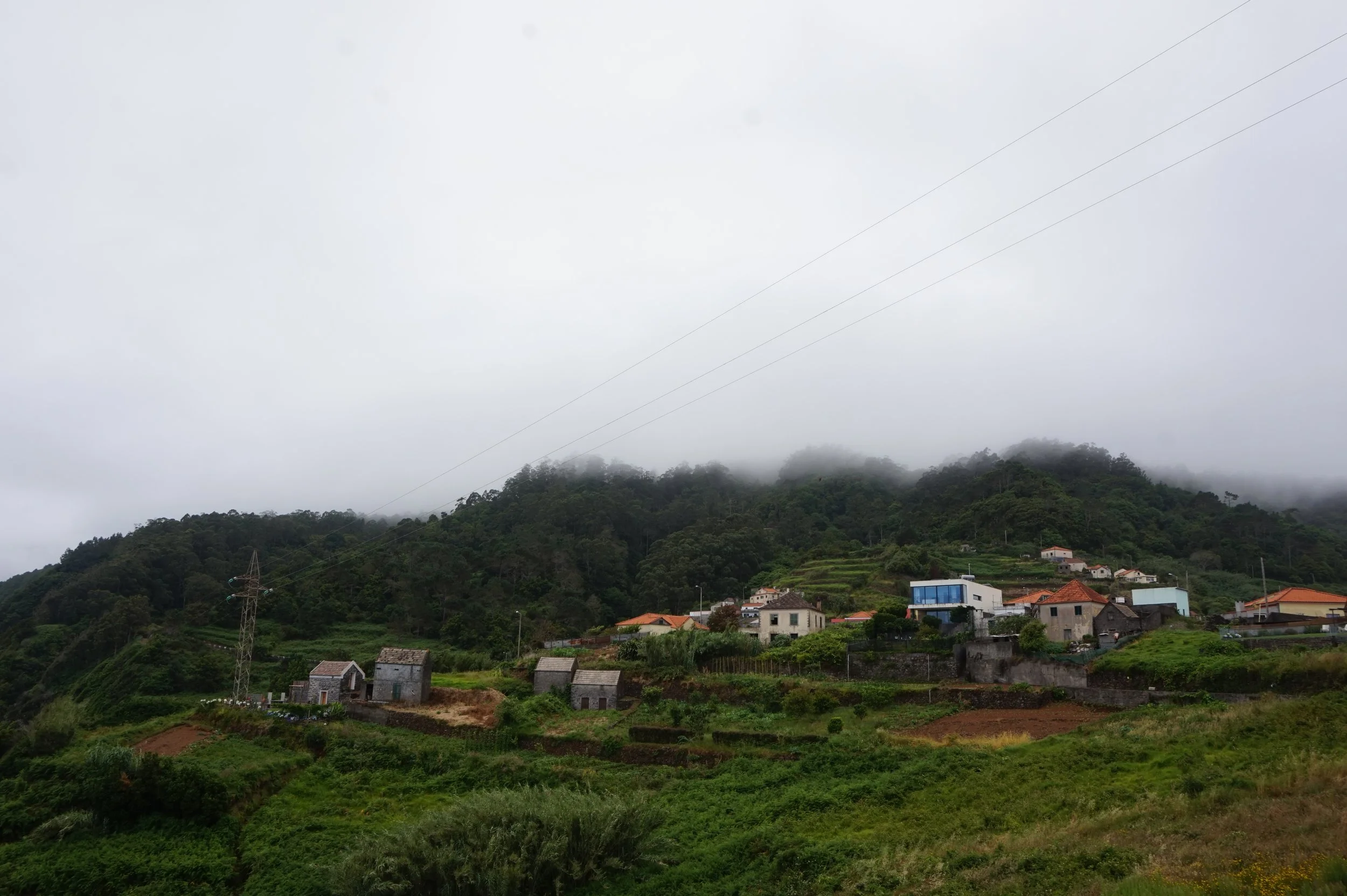 DSC00211.JPG