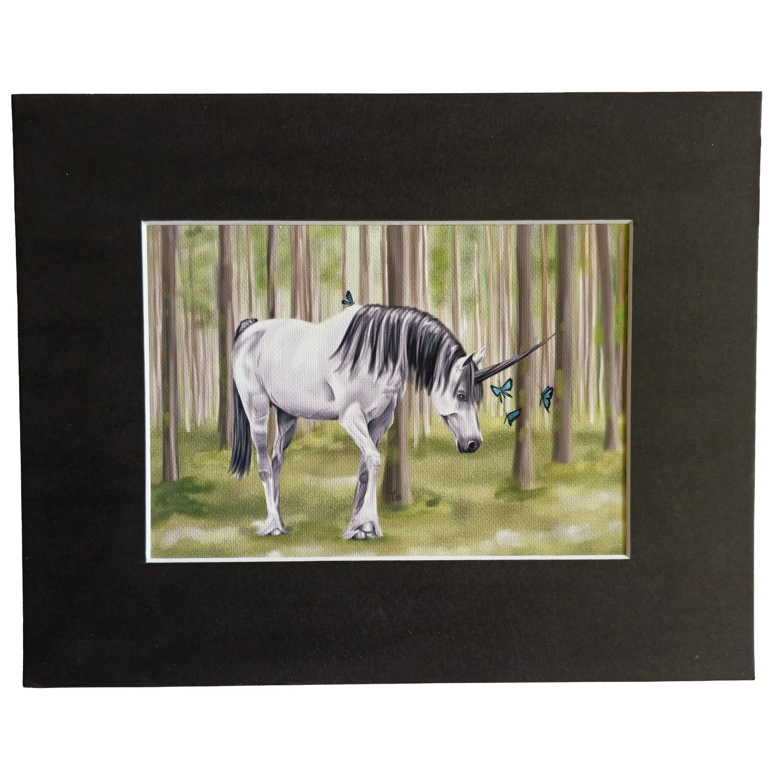 Curiosity Canvas Art Print 5x7