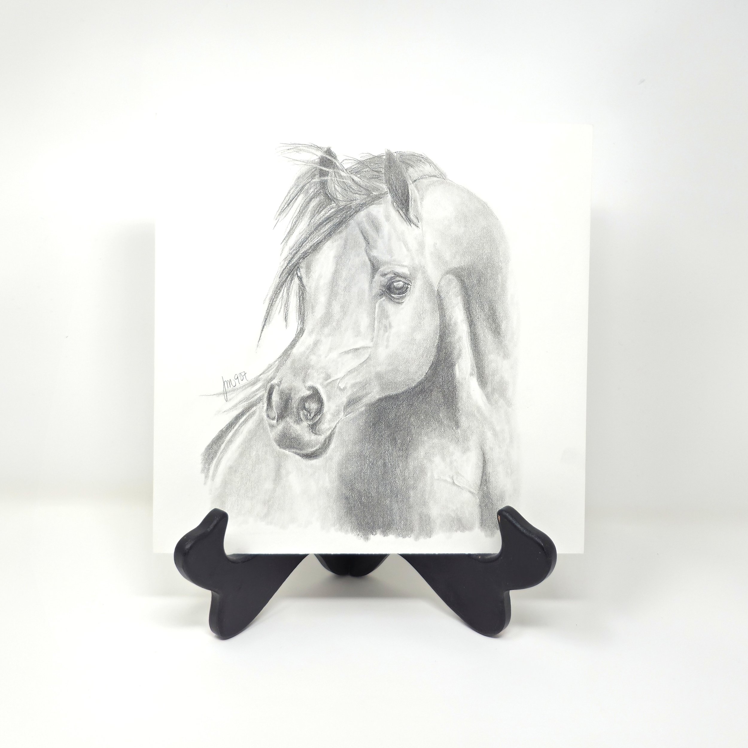 equine 1.jpg