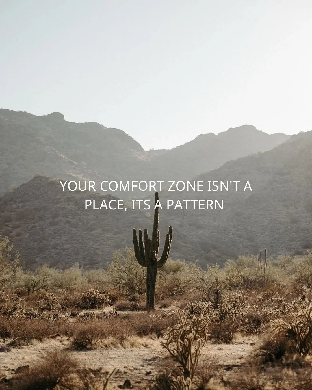 Musings of late.. 🖤