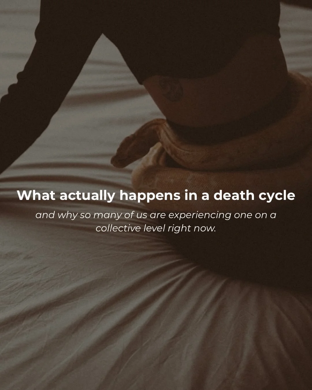 If you&rsquo;ve been feeling like life is stripping you back this year.. you&rsquo;re not imagining it. We&rsquo;re moving through one of the biggest collective death cycles we&rsquo;ve seen in years.

A &ldquo;death cycle&rdquo; is about the parts o