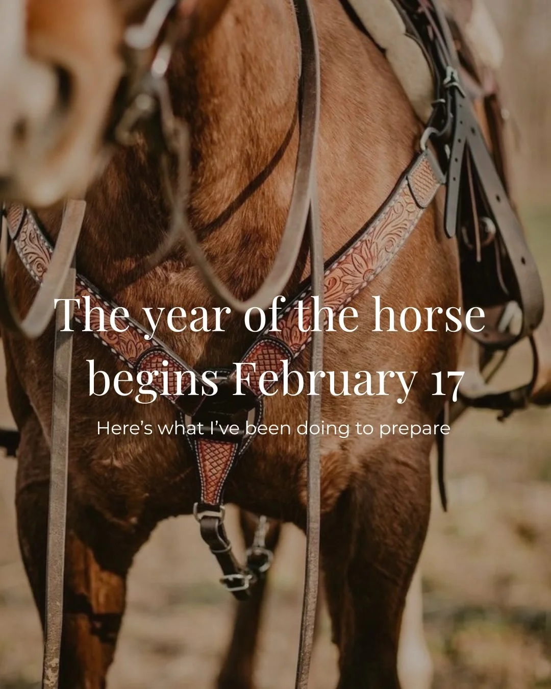 The year of the horse begins February 17 and here&rsquo;s what I&rsquo;ve been doing to prepare for it.