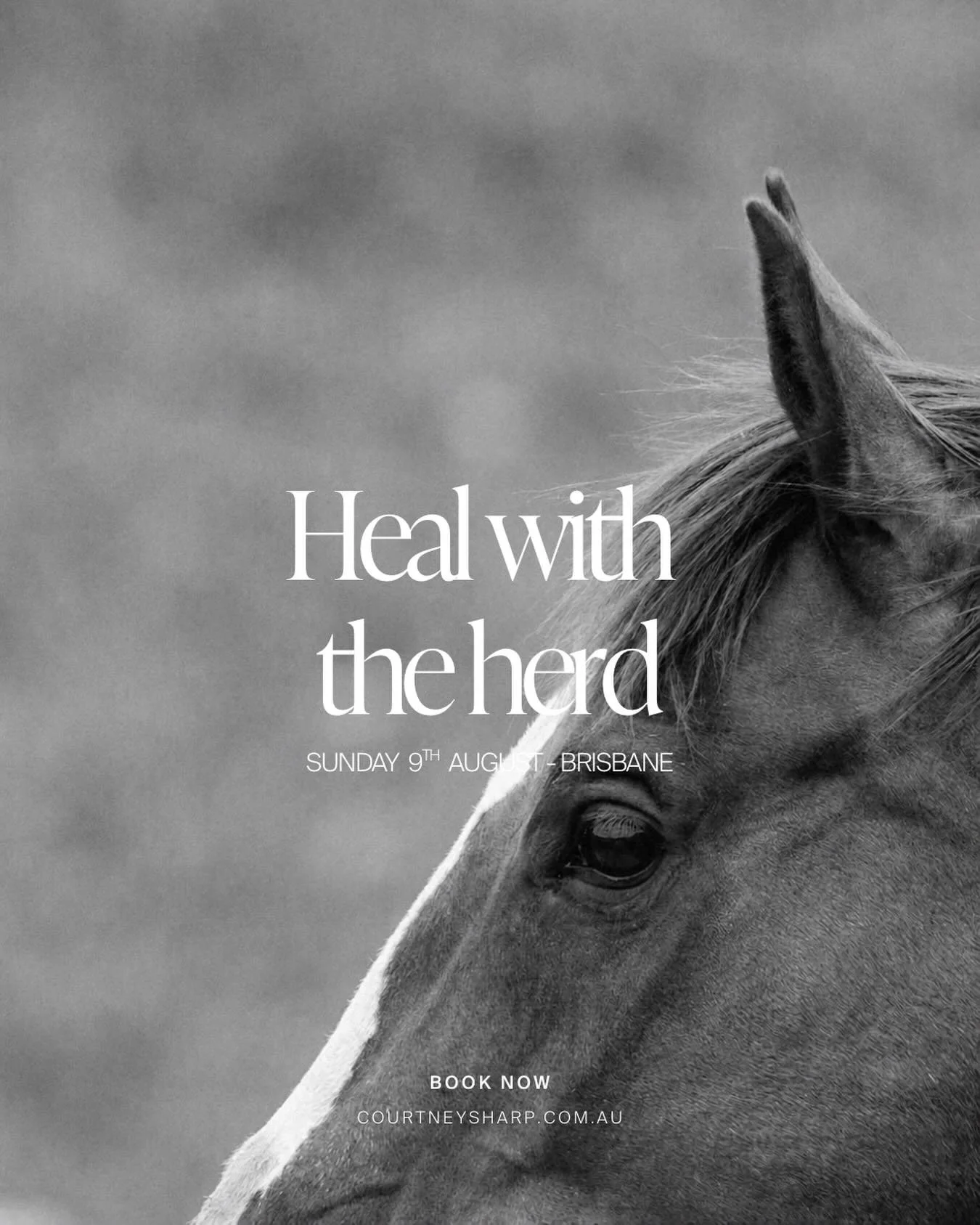 Sunday 9th August | 6:30am - 7:30am | Brisbane

Our next Heal with the herd is live.. 

Join me for an intimate horse led healing experience.

Together we will gather in circle and be guided into the heart to connect with an intention for the morning