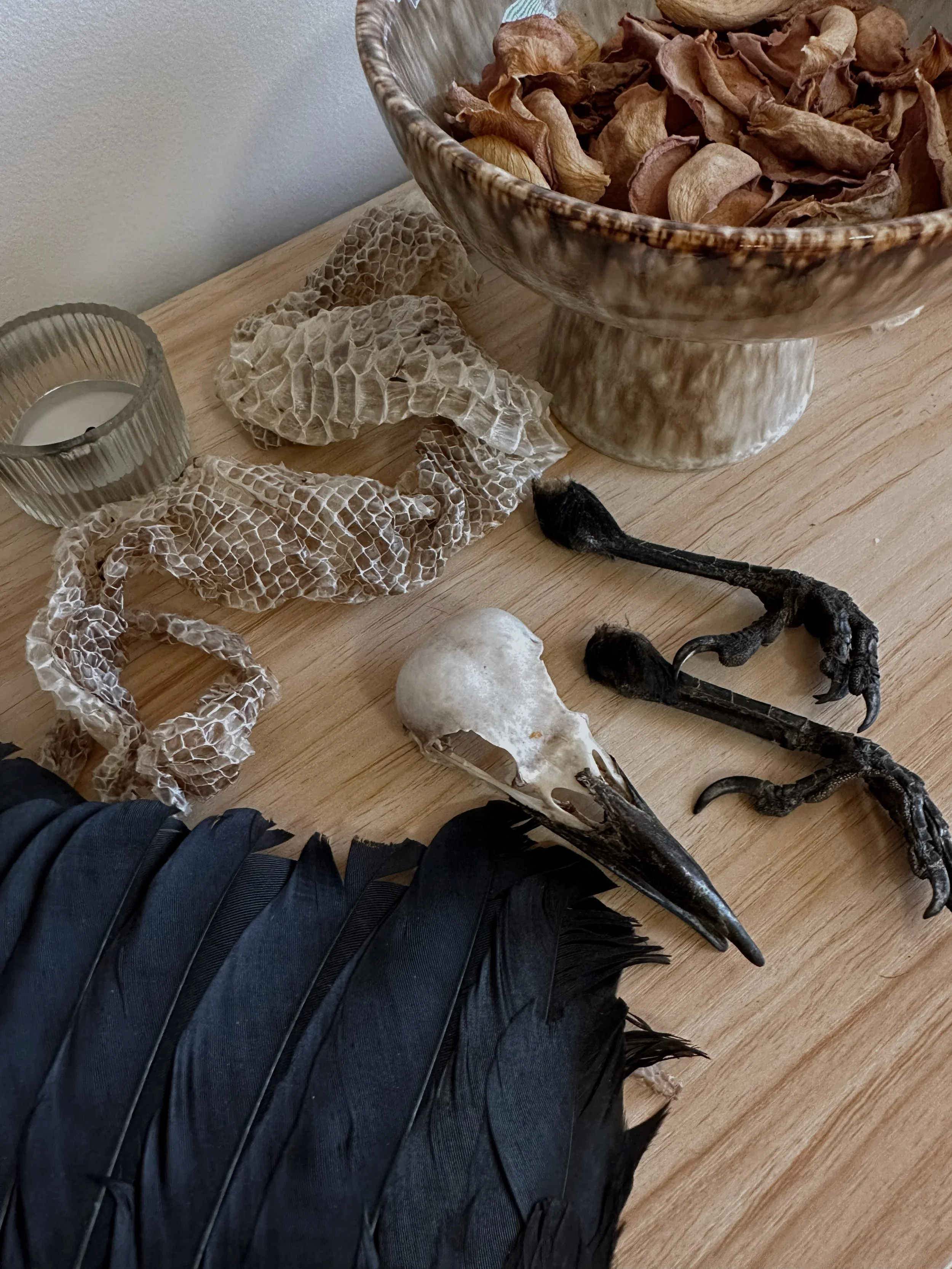 I want to share with you the medicine of the Crow, and how this medicine came to me.

Earlier this year, 1 moved through one of the most profound transformations. A death and rebirth in every sense. I was being asked to surrender old identities, fami
