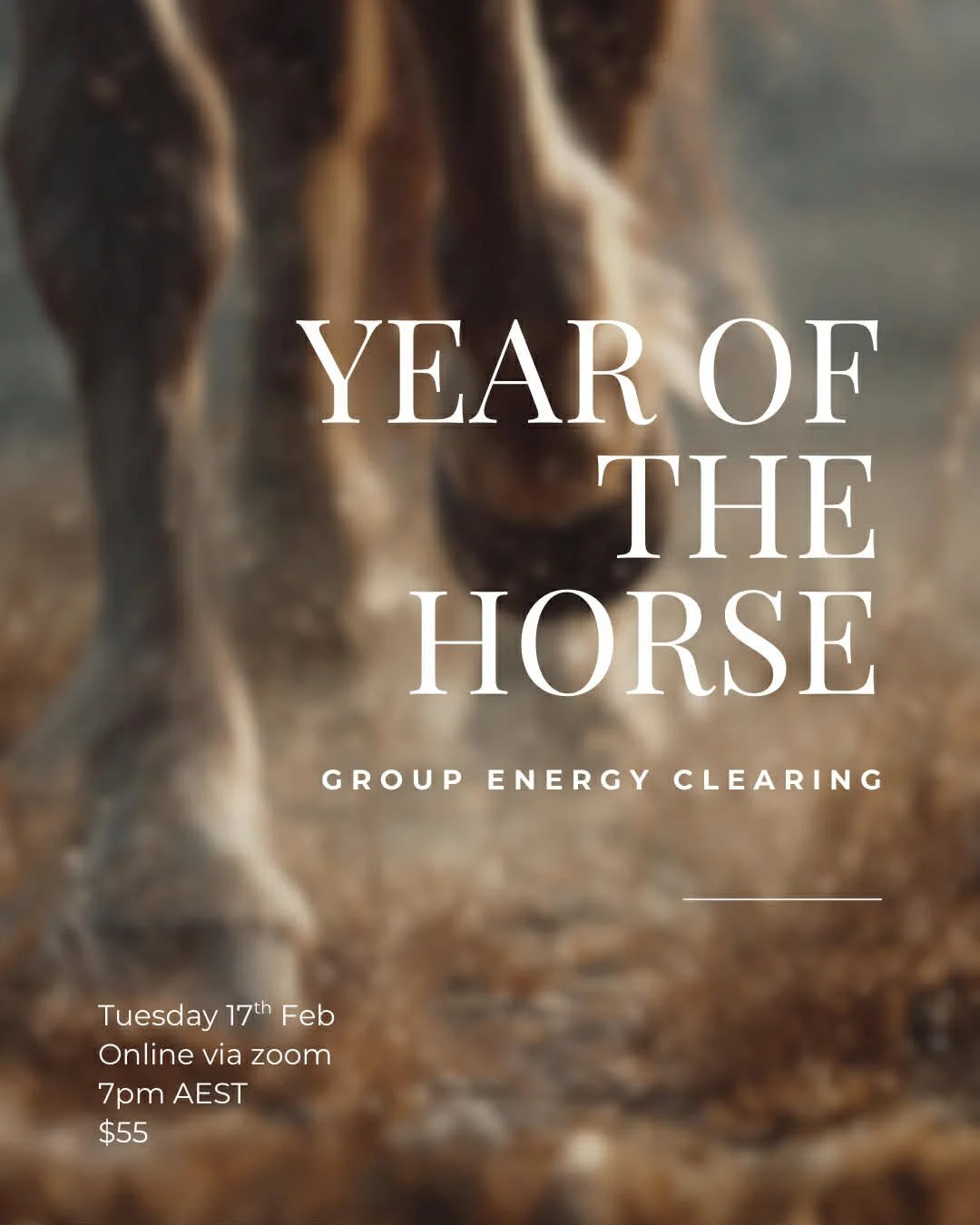 year of the horse.jpg