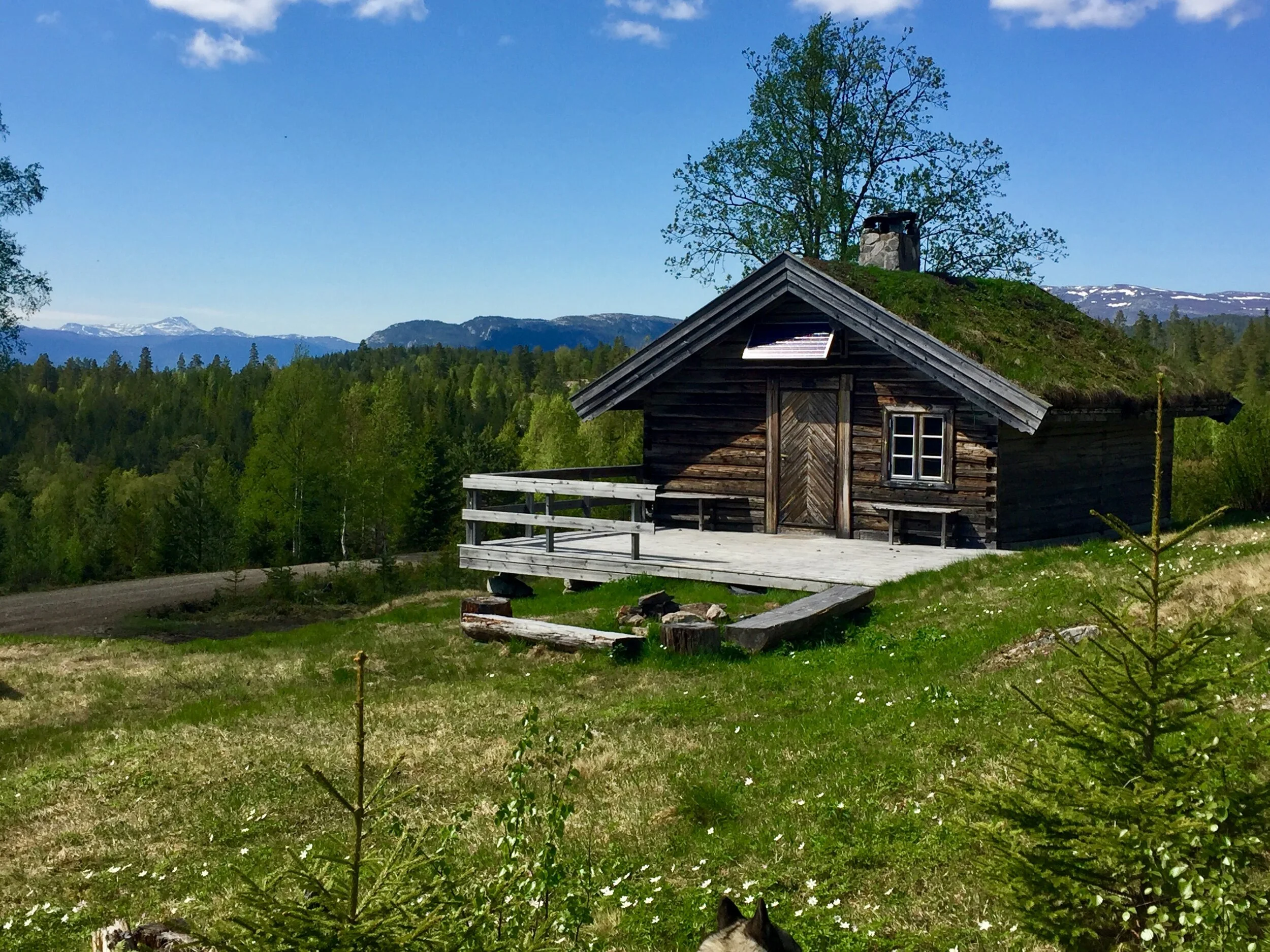 Sæter laft Erlebnis in der Natur Telemark