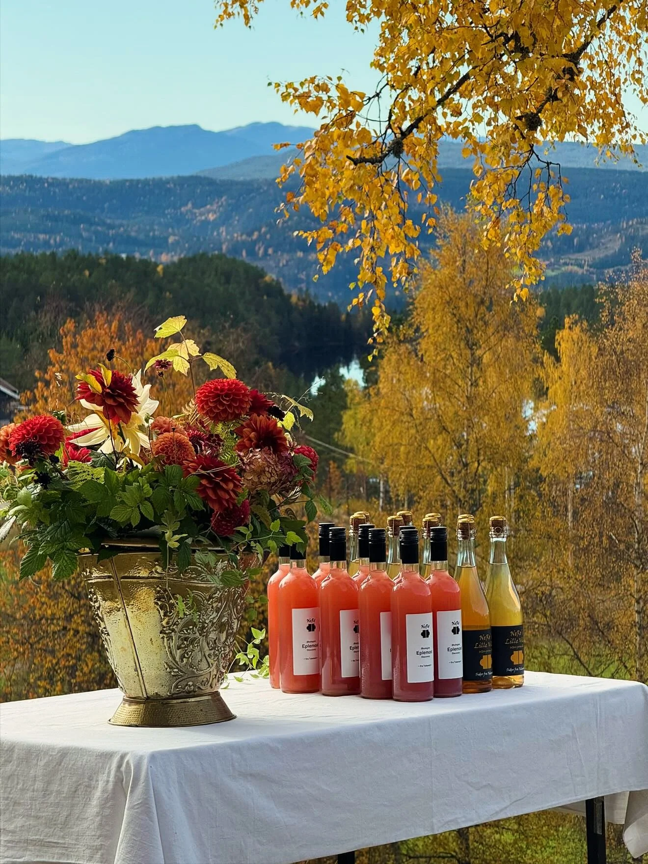 What a week! 🎉
A big thank you to the amazing group of 25 guests who attended this week's event – and to everyone who helped make this event such a success! 🙌 It turned out absolutely fantastic – happy guests, happy hosts, and lots of s