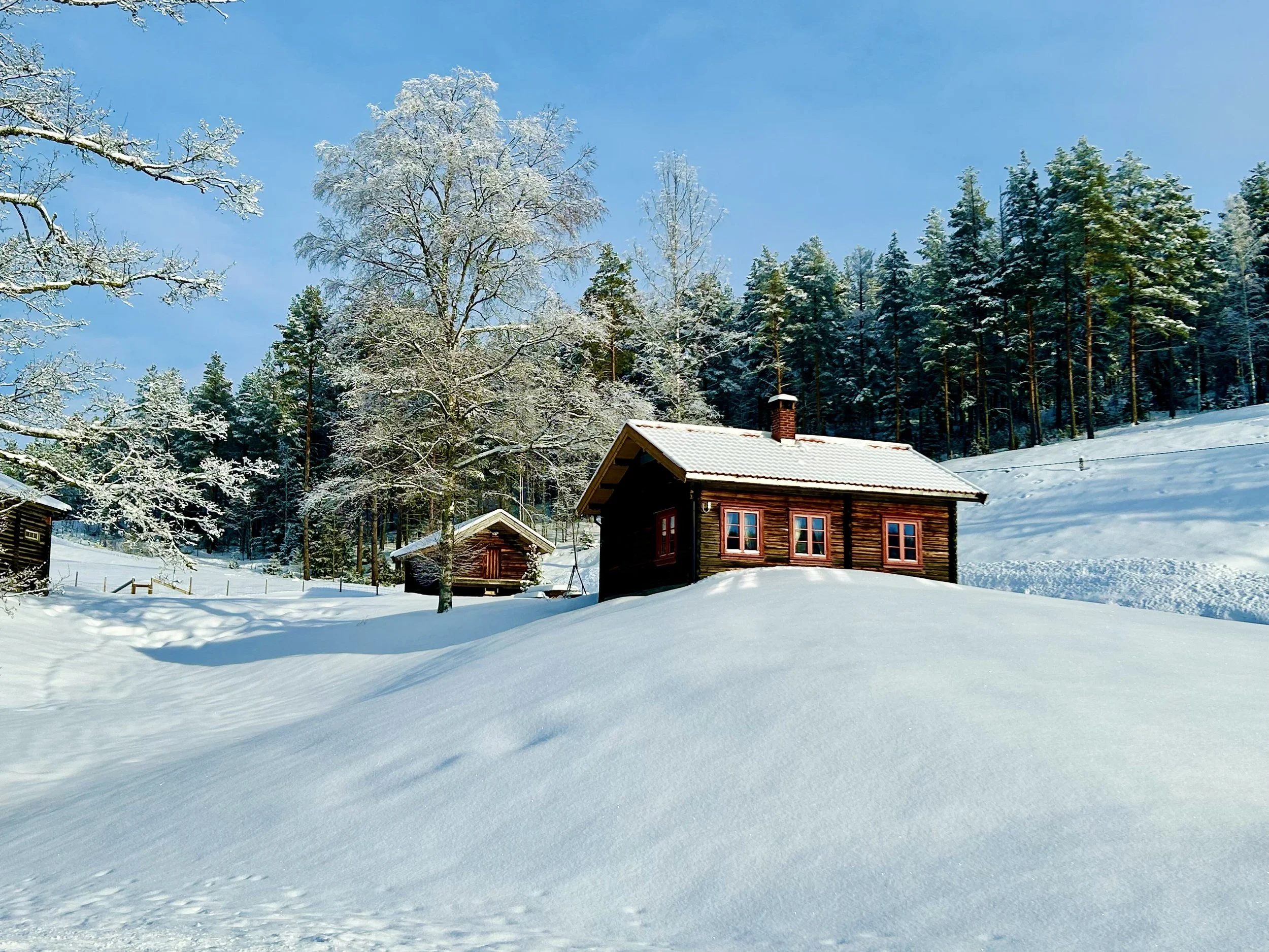 Holzwohnzimmer auf dem Gehöft Telemark