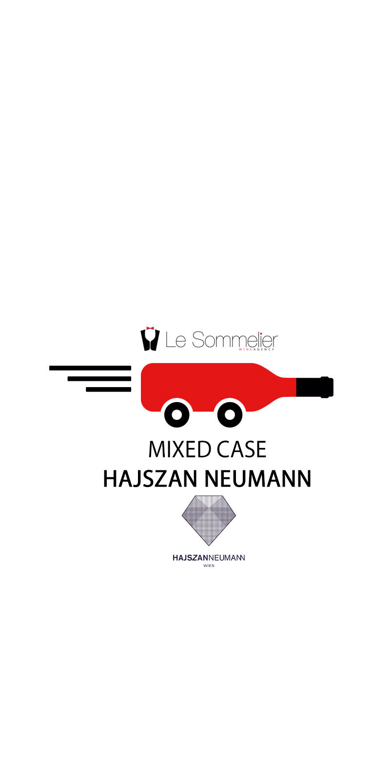 LSI+mixed+case+HJ+long.jpg (Copy) (Copy)