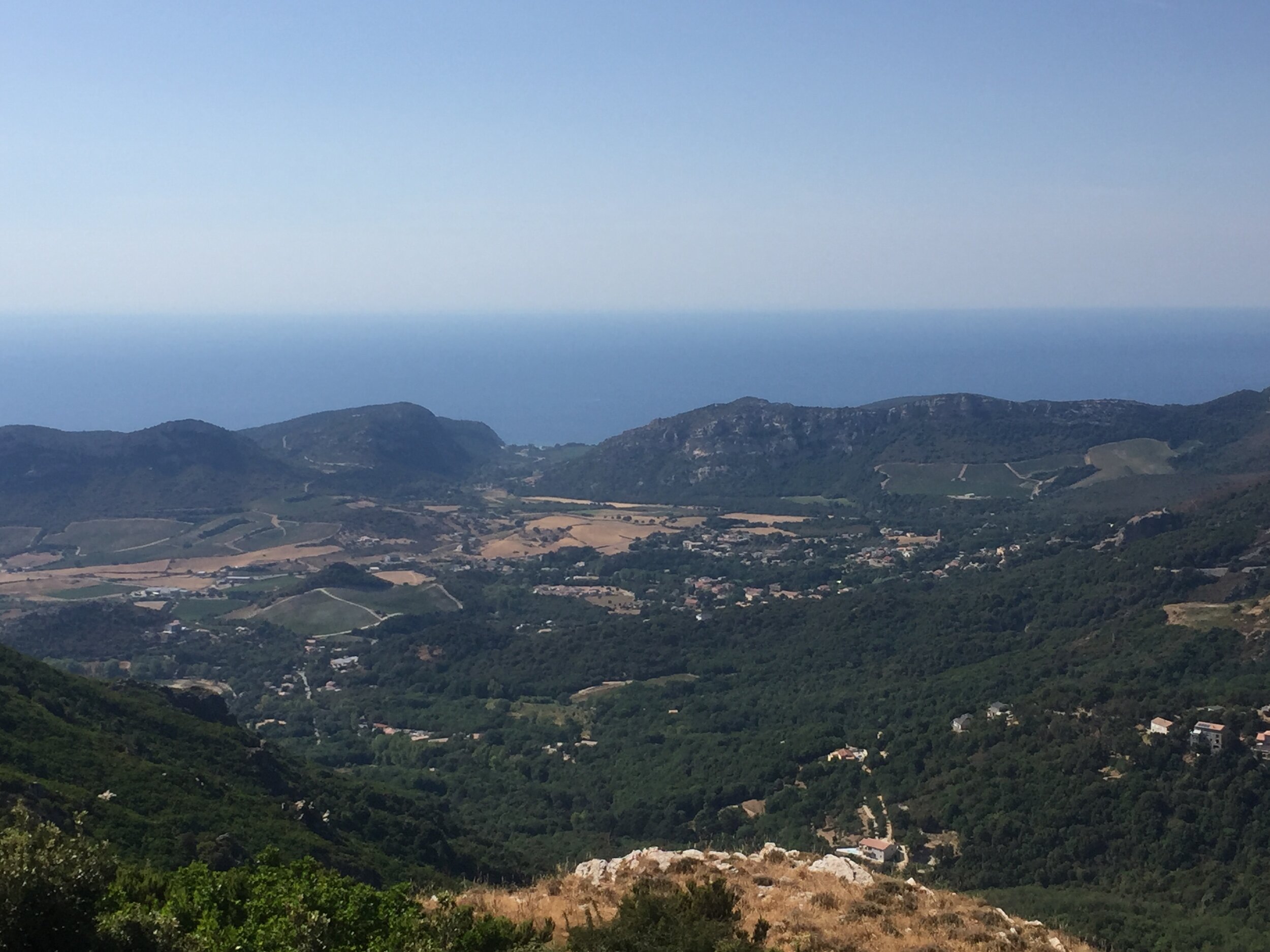 Domaine Nicolas Mariotti Bindi - Vue et nature.JPG