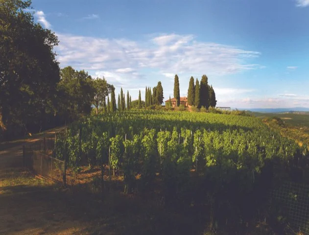 Podere Carnasciale.jpeg
