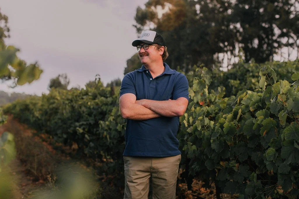 NEW Releases at the LCBO