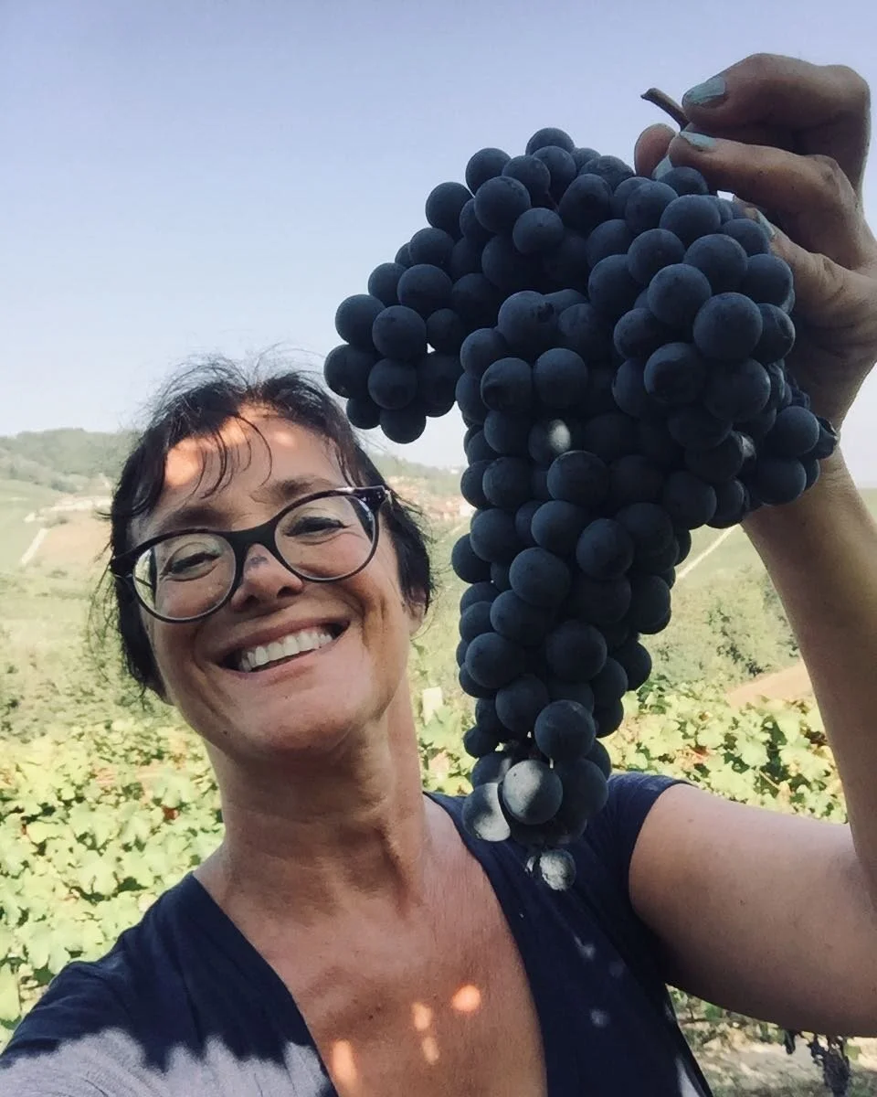 NEW Arrivals from Barolo Legend Chiara Boschis