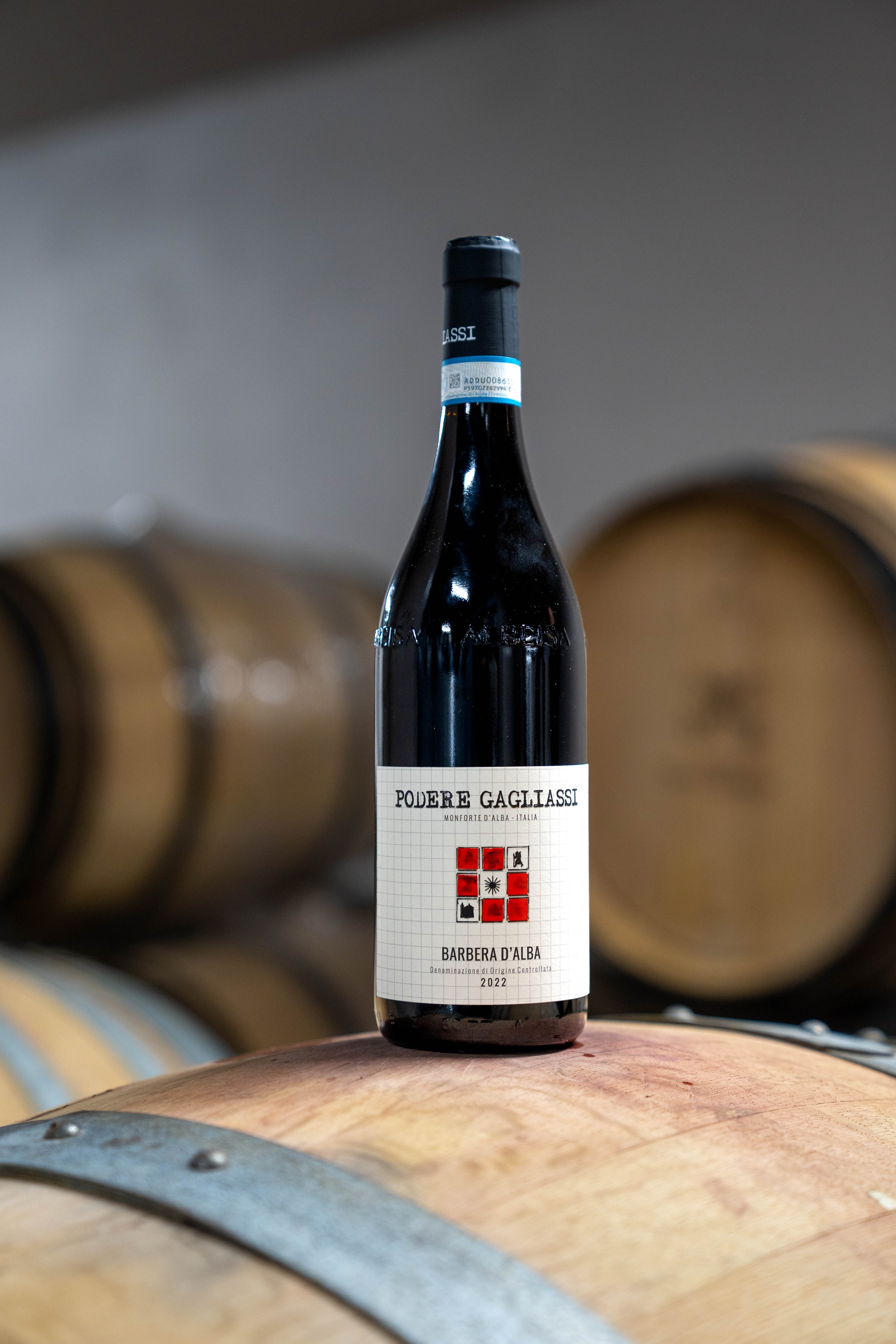 Podere Gagliassi - Foto vendemmia - 10_10_2024 -125.jpg