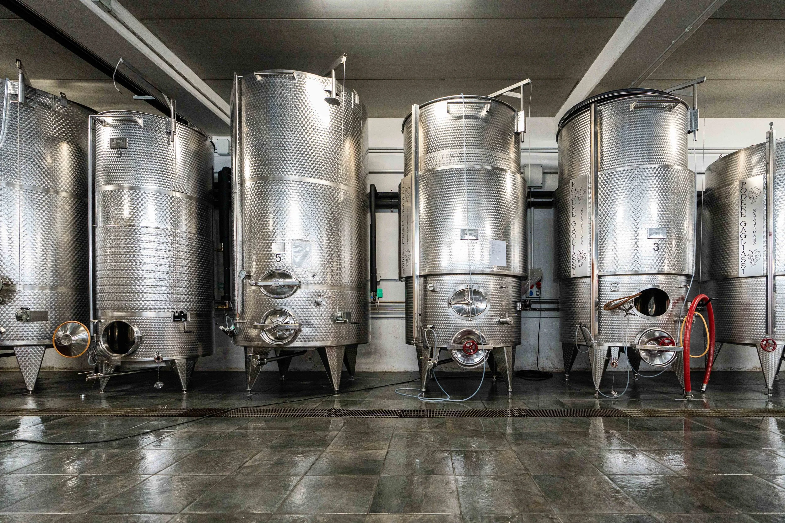 Podere Gagliassi - Foto vendemmia - 10_10_2024 -149.jpg