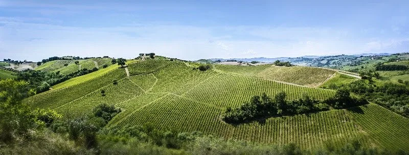 Ciù Ciù : Fresh, Organic Marche