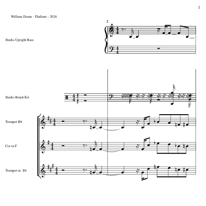 flatliner composition snaps shot 1 .png