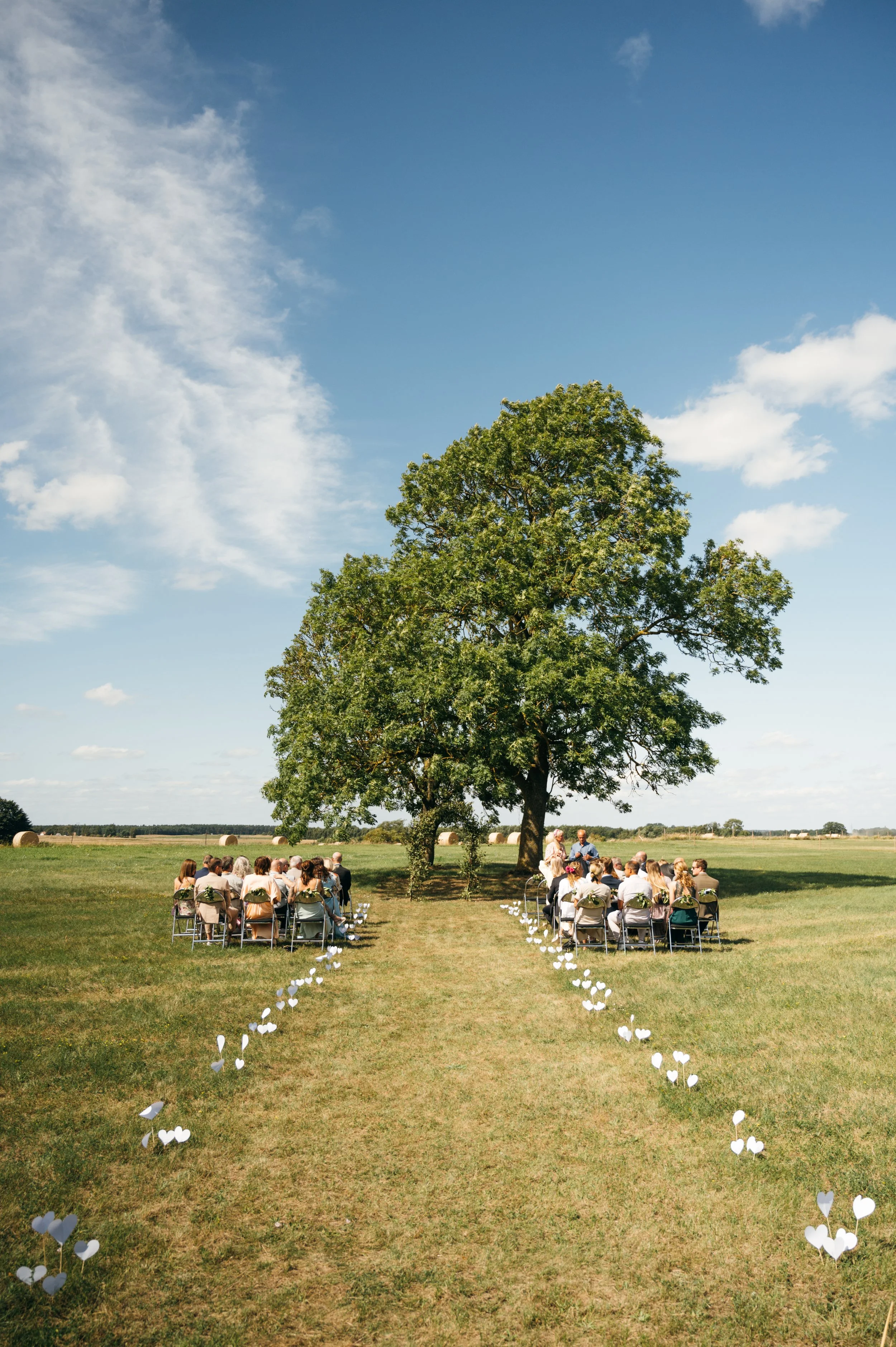 JuliaHaraldsonPhotography_2025_EmmaErikpreviews-22.jpg
