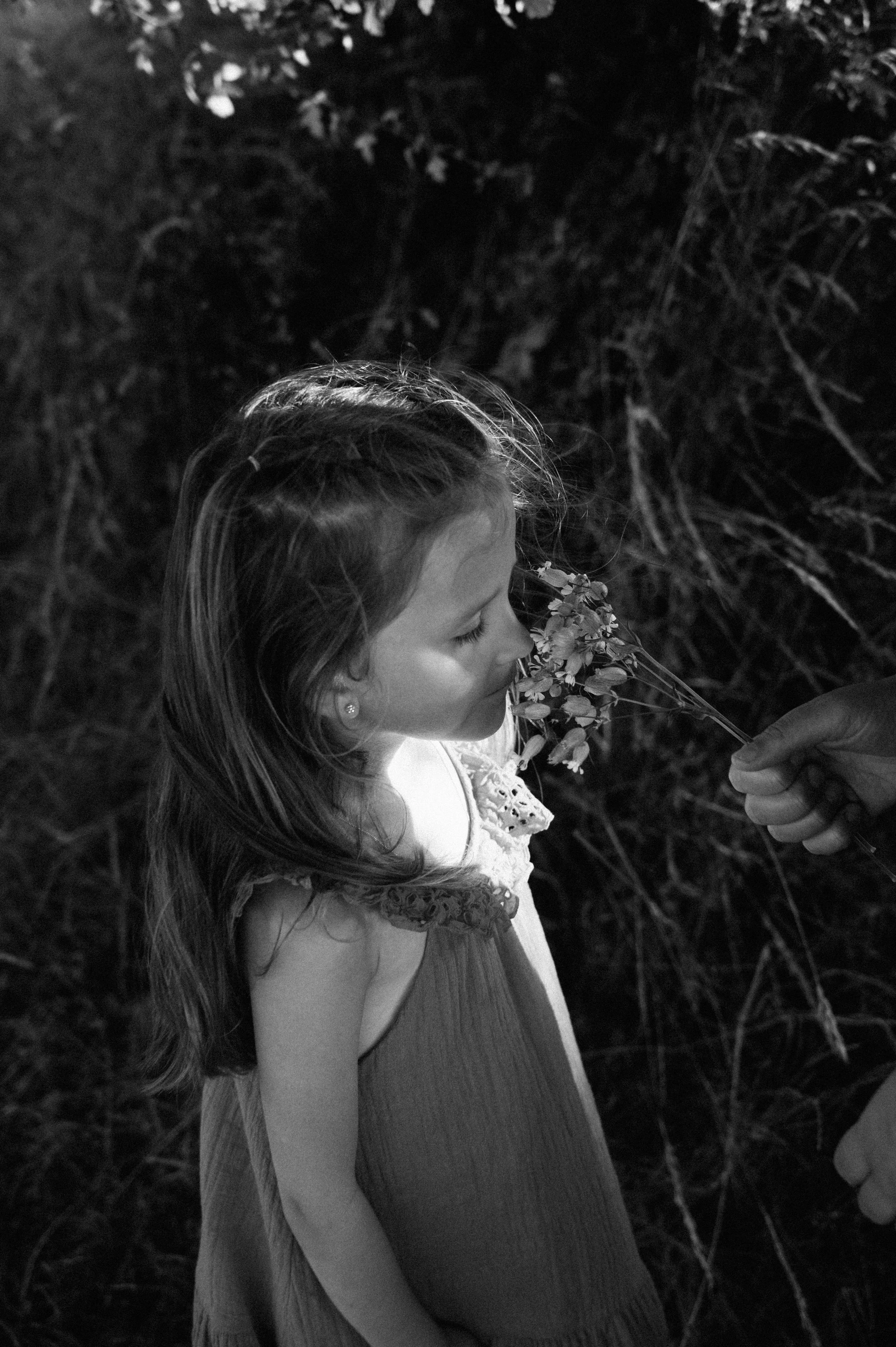 JuliaHaraldsonPhotography_2025_Carrofamilj-45.jpg