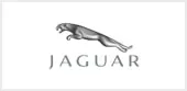 jaguar.jpg.webp