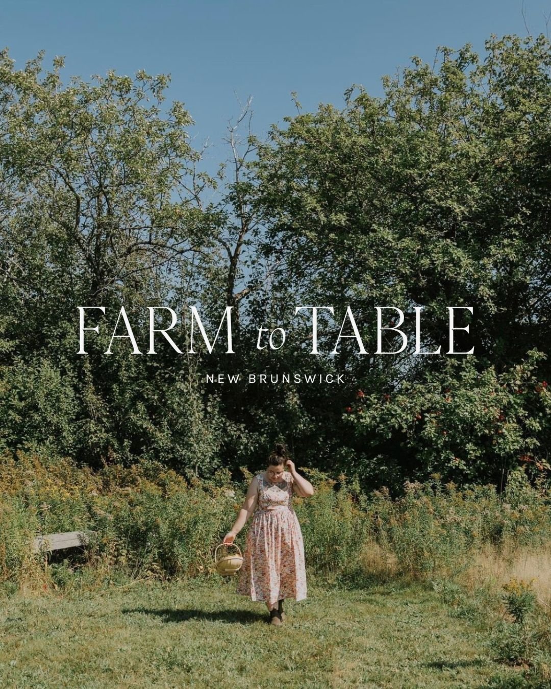 farm-to-table-8.jpg