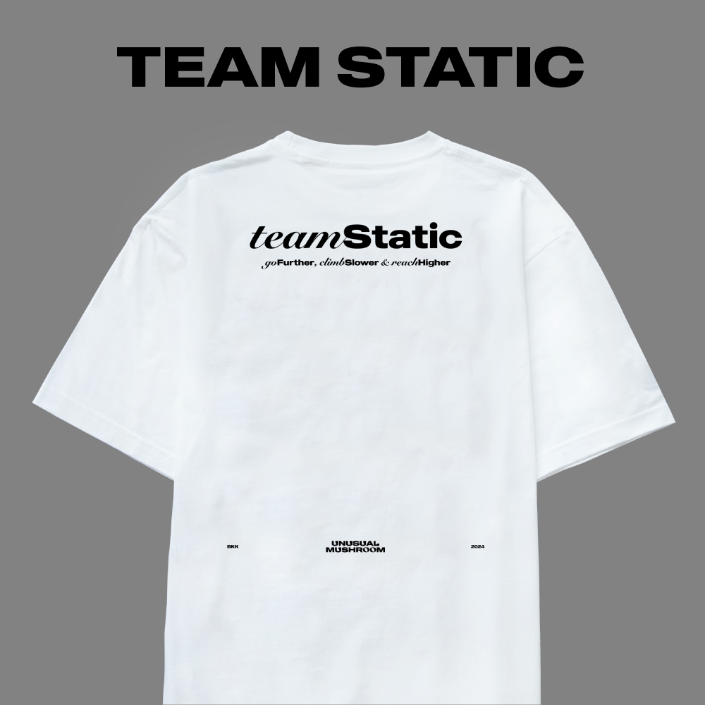UNUSUAL MUSHROOM - TEAM STATIC