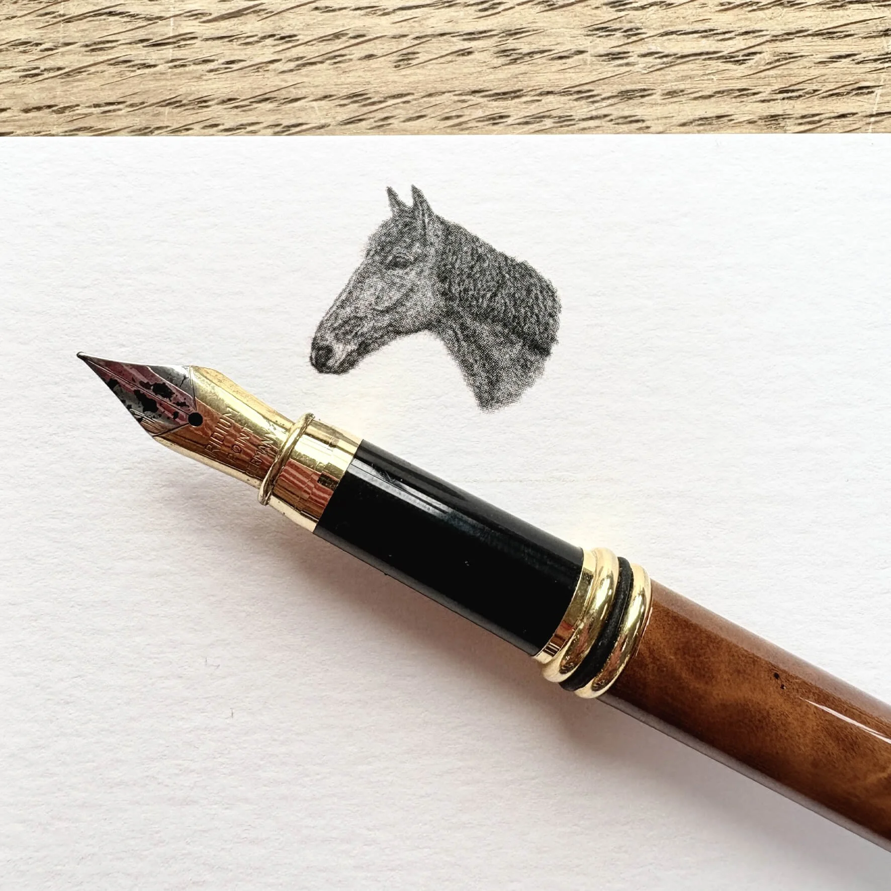Oscar_horse_correspondence_card_pack_4.jpg