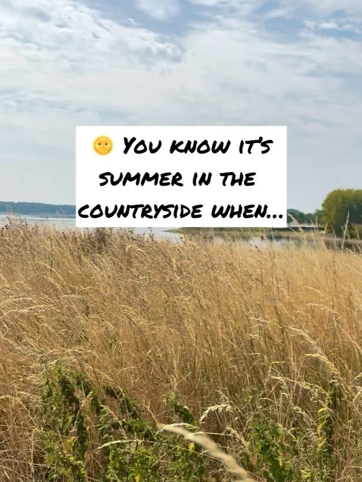 Ever notice how summer somehow rushes and slows down at the same time?

Late summer in the countryside has its own rhythm &ndash; that shift between seasons where life feels both a little frenetic and yet somehow slowed right down.

Summers like this