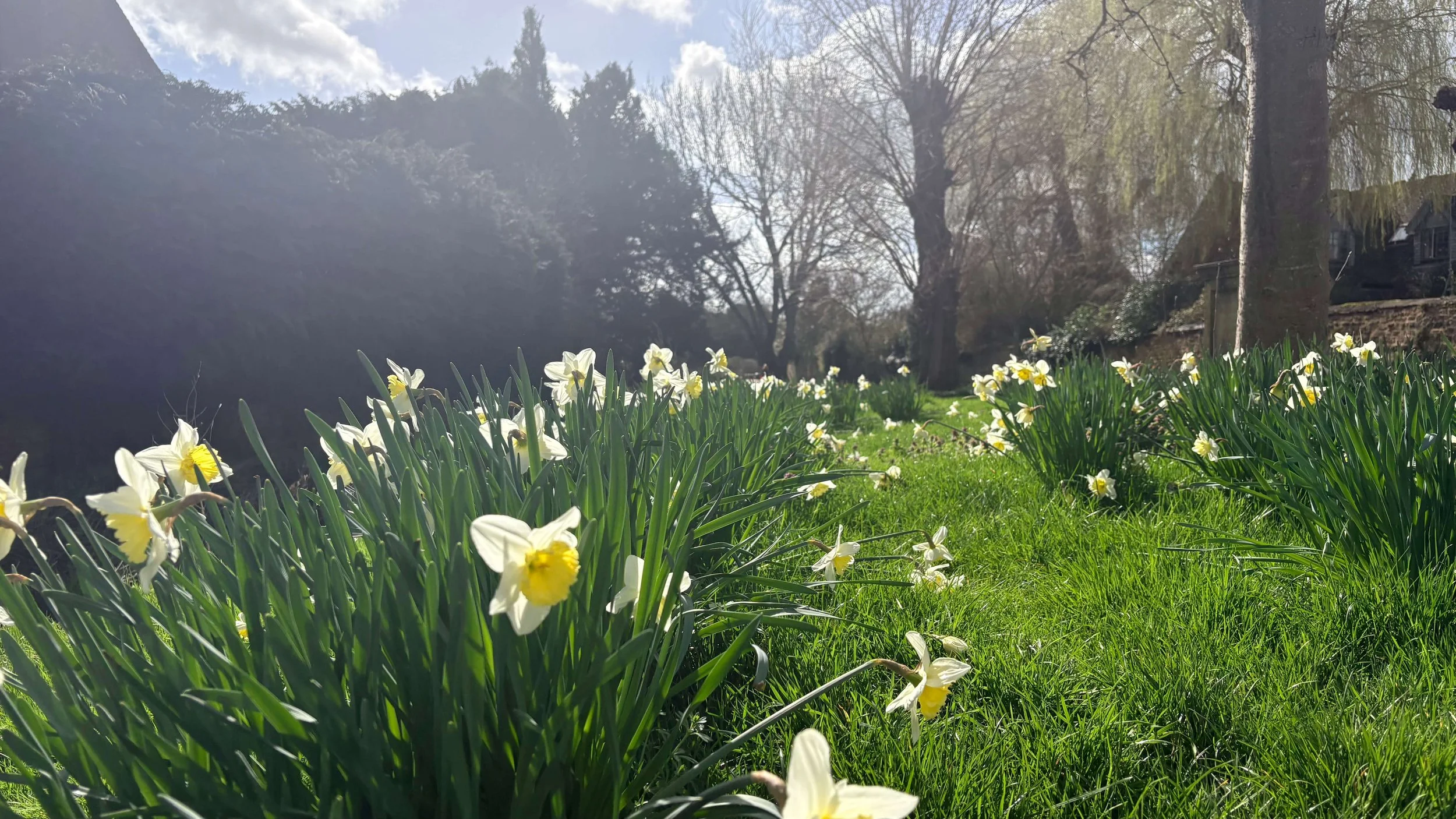 When the Light Returns