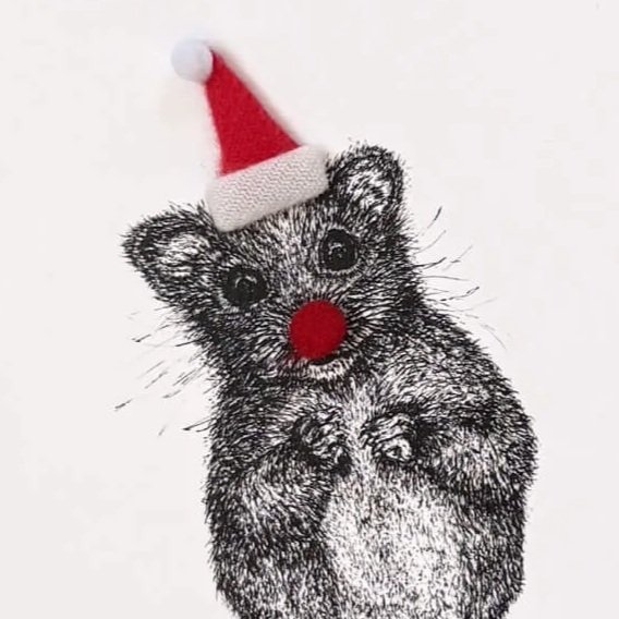 Chirstmas_card_mouse_santa_hat.jpg