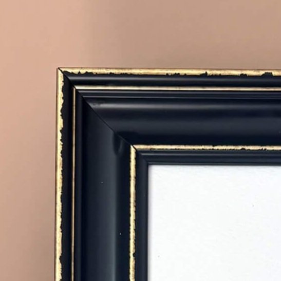 Black%26Gold_deep_Frame_wren.jpg