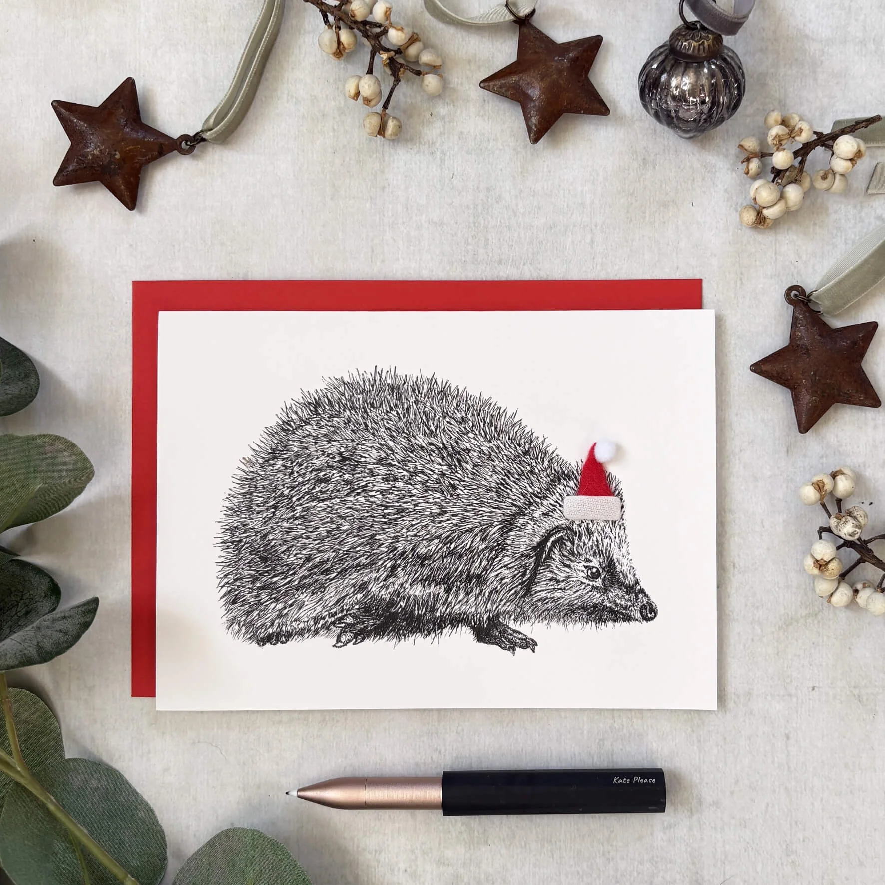 Chirstmas_card_hedgehog_santa_hat.jpg
