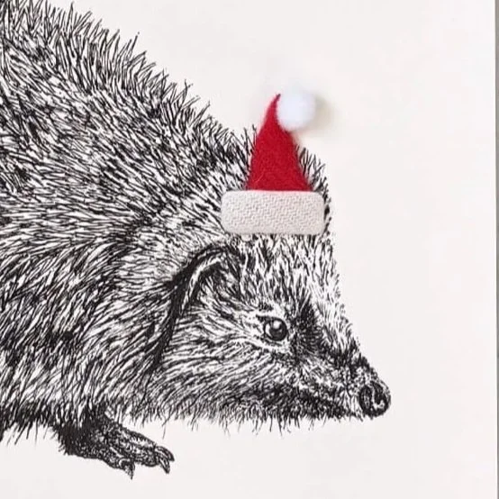 Chirstmas_card_hedgehog_santa_hat.jpg