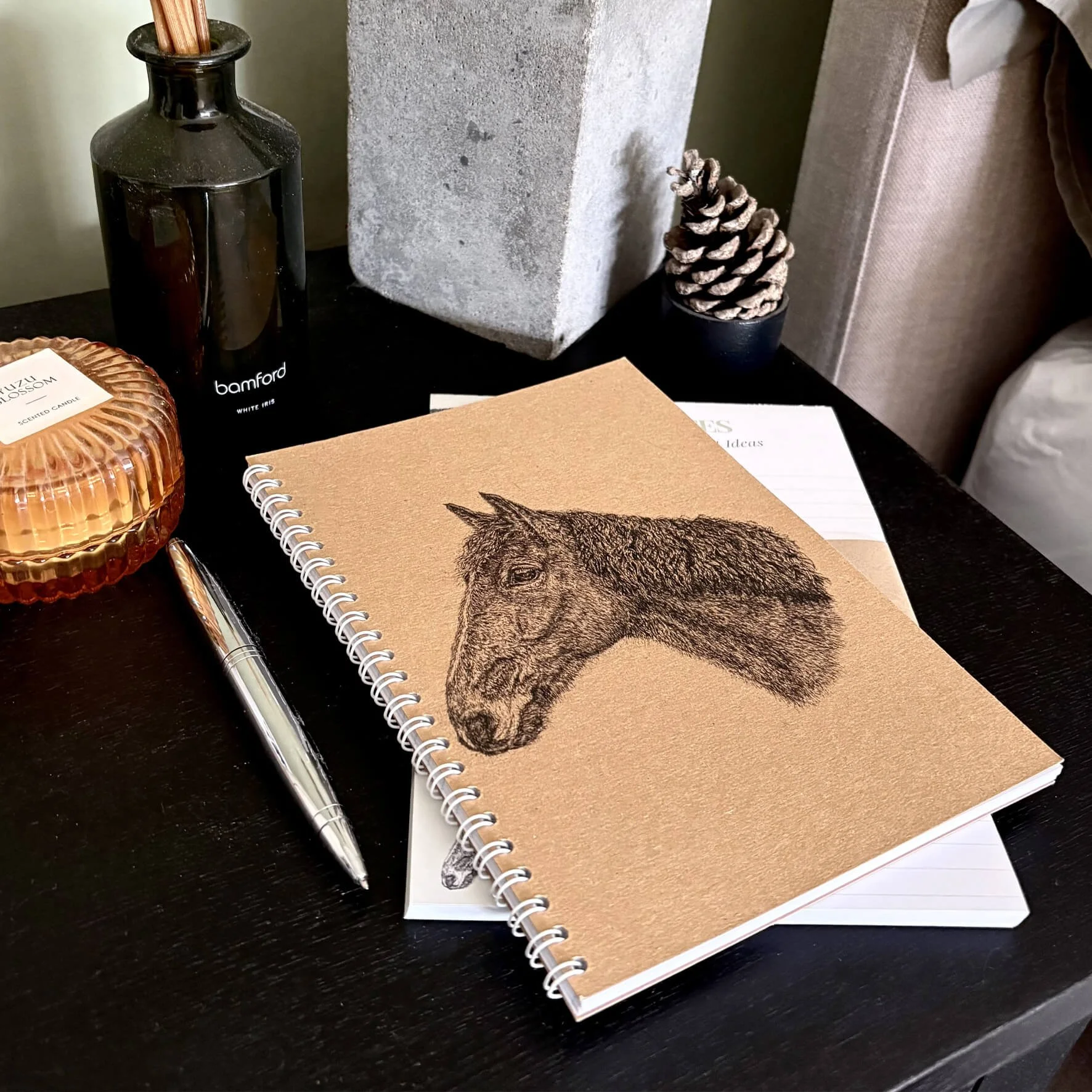 Oscar_horse_notebook_1.jpg