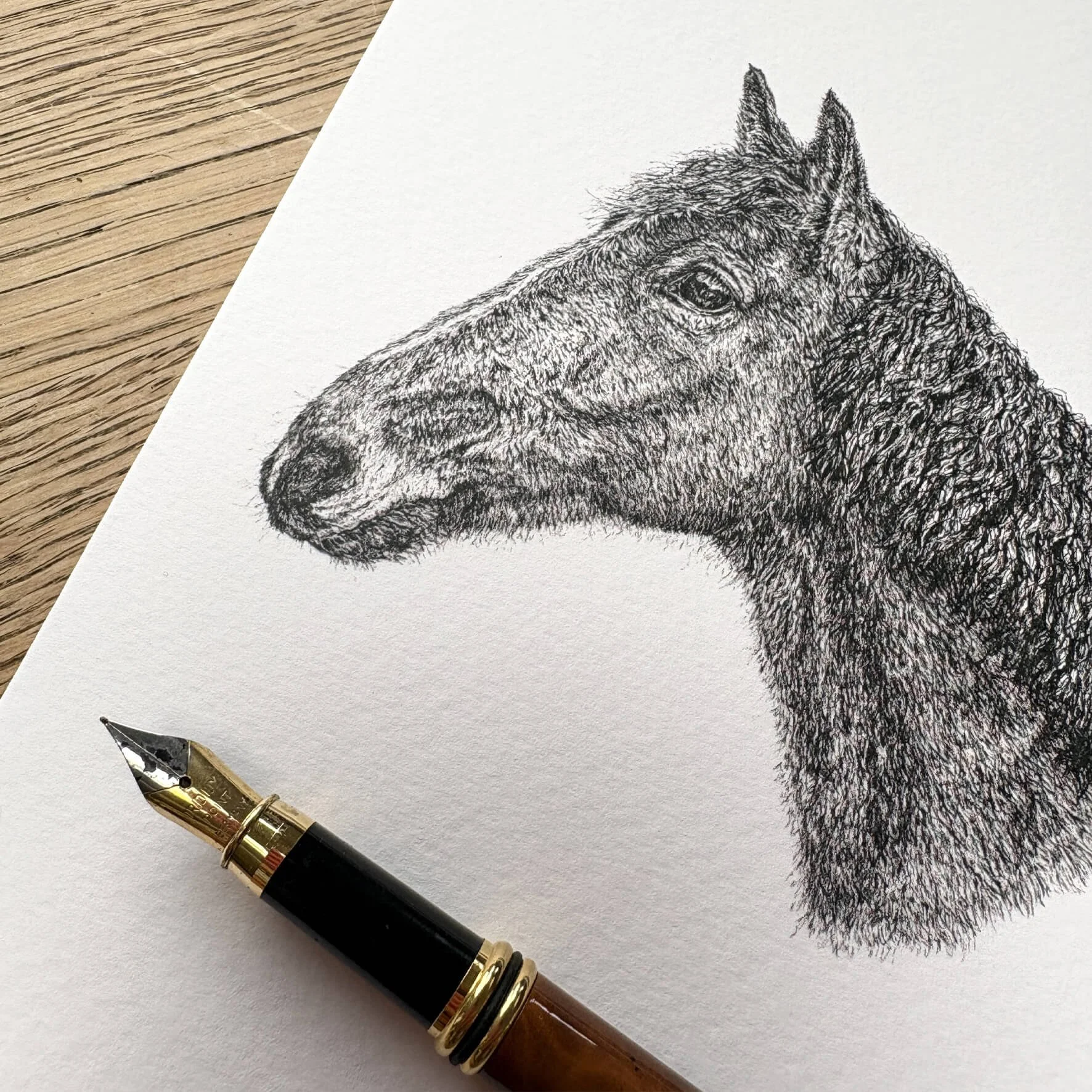 Oscar_horse_greeting_card_2.jpg